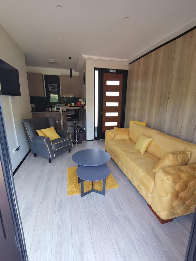 Ehinacea Apartment Rtanj Exterior photo